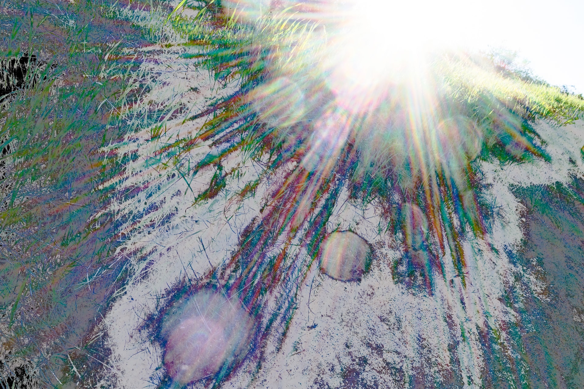 Light on Grass — squairdok