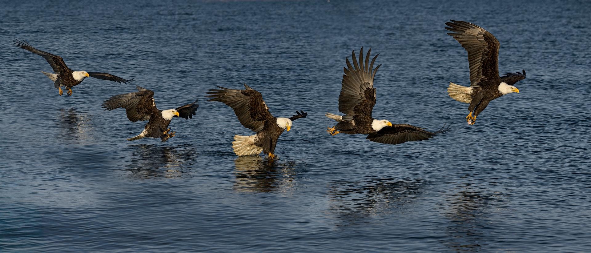 Alaskan Fishing by Ken Quigley