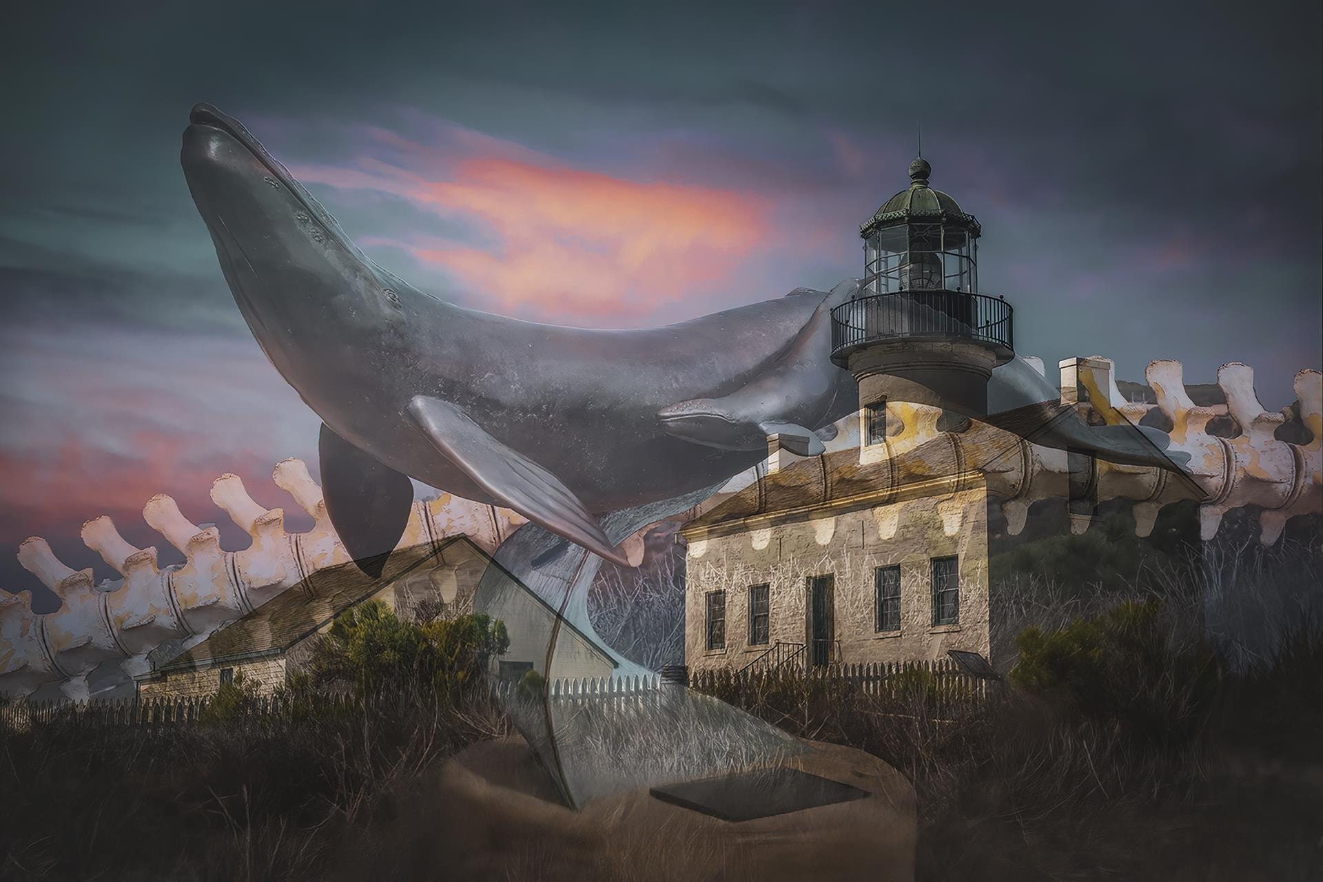 Beyond the Lighthouse by Carmen Saunders