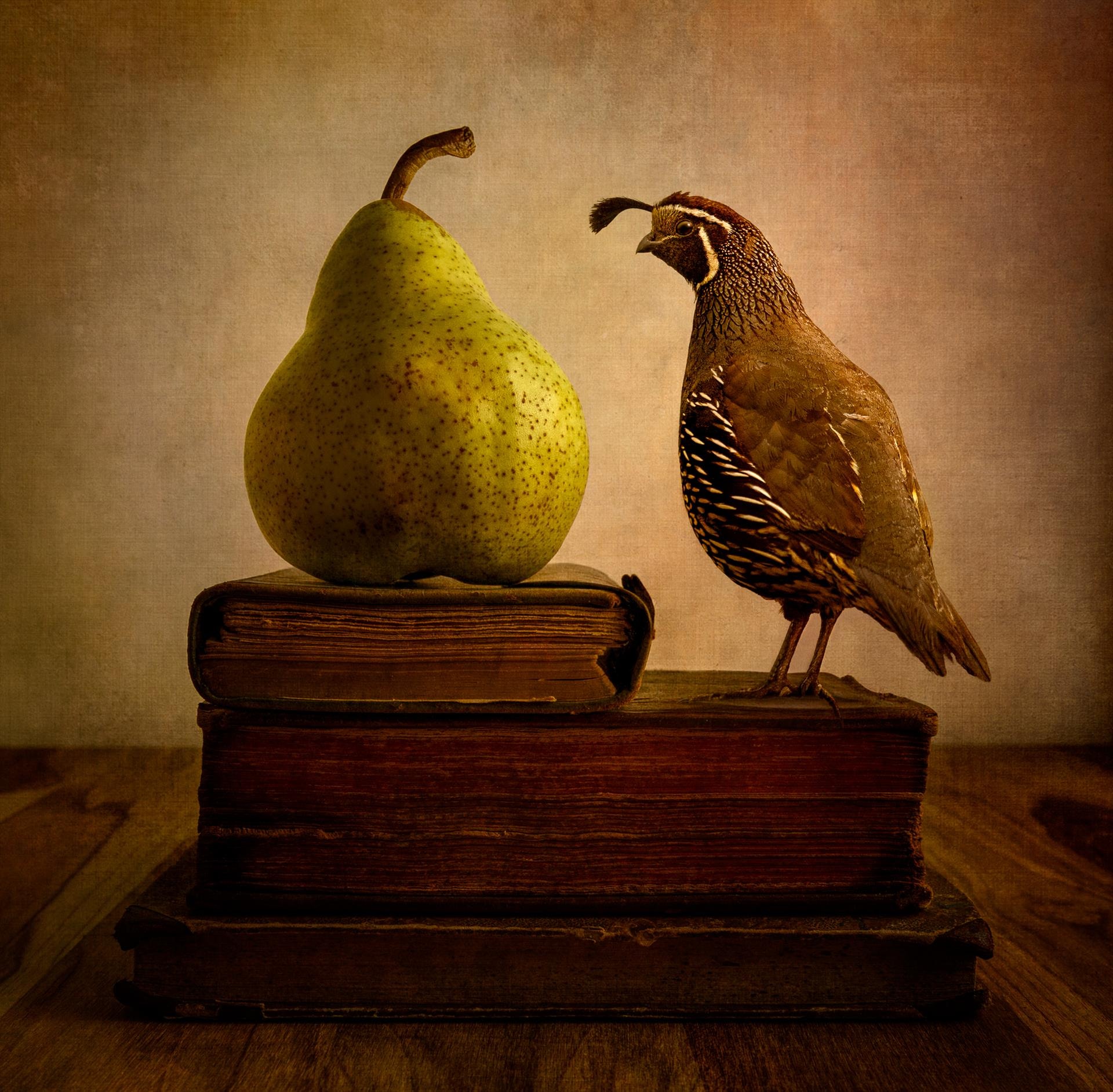 Love is Blind by Heidi Gauthreaux