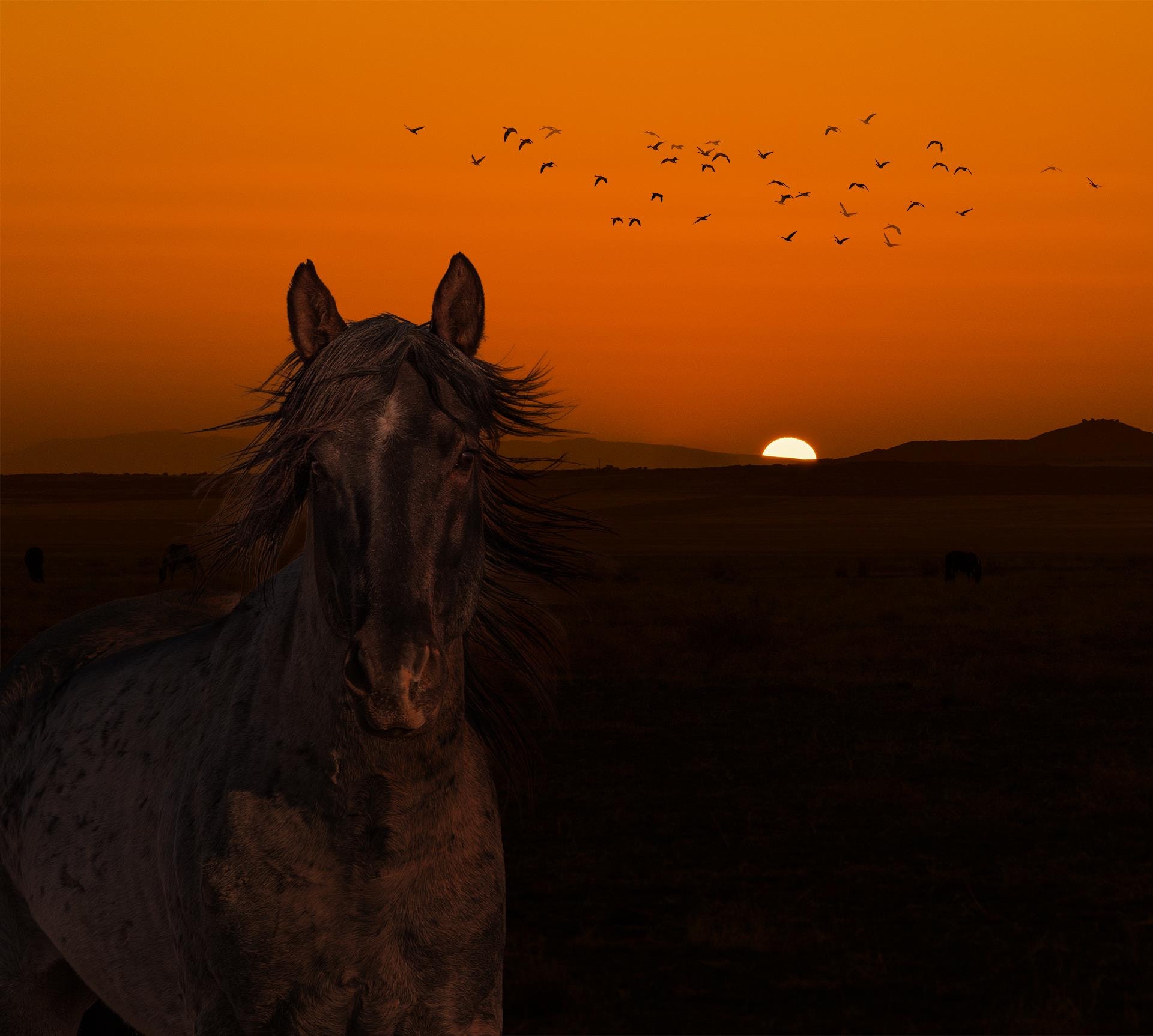 Out of the Dark by MaryBrenda McQueen