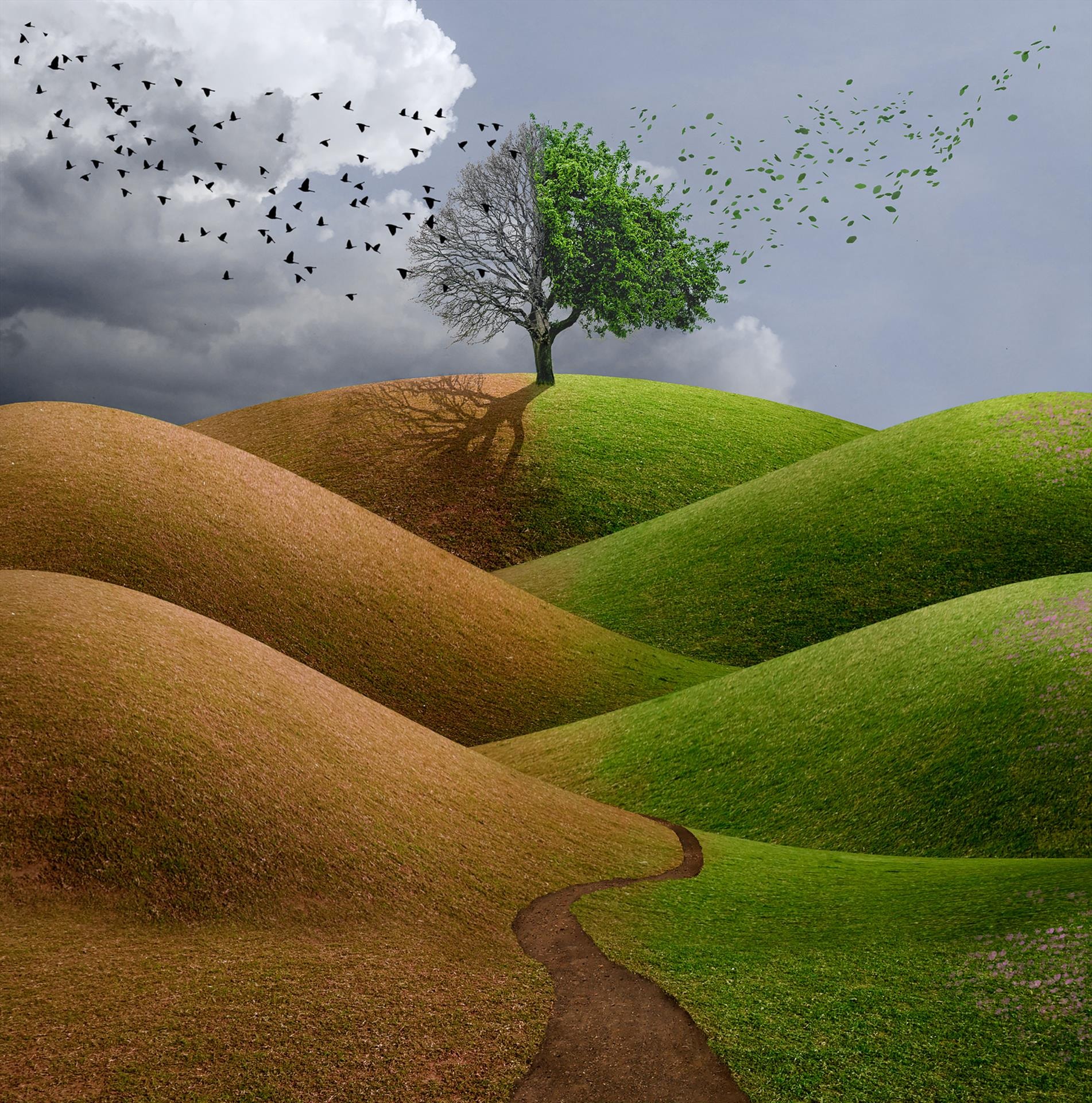 Transitions by Heidi Gauthreaux