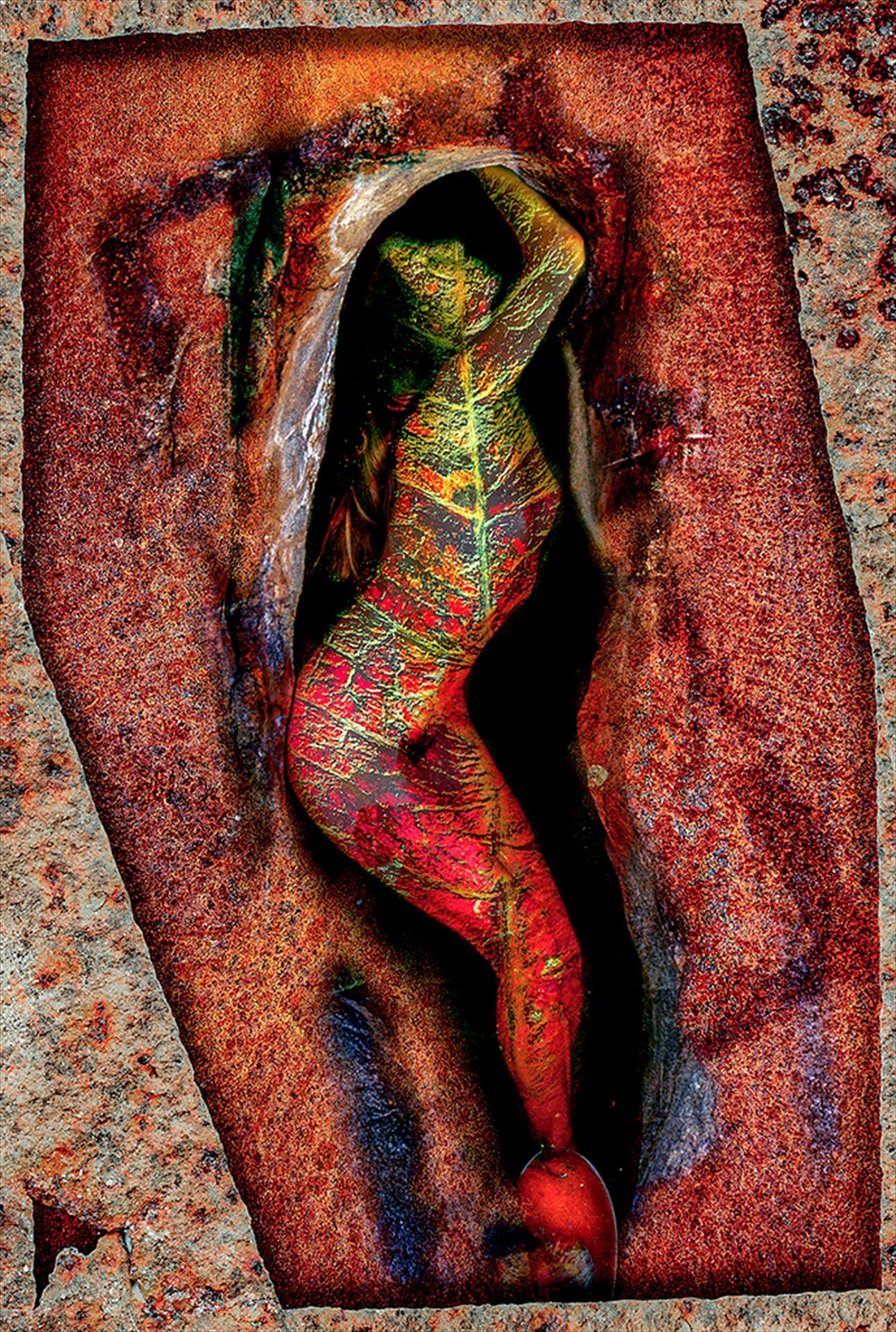Womb by Stephen M. Burns