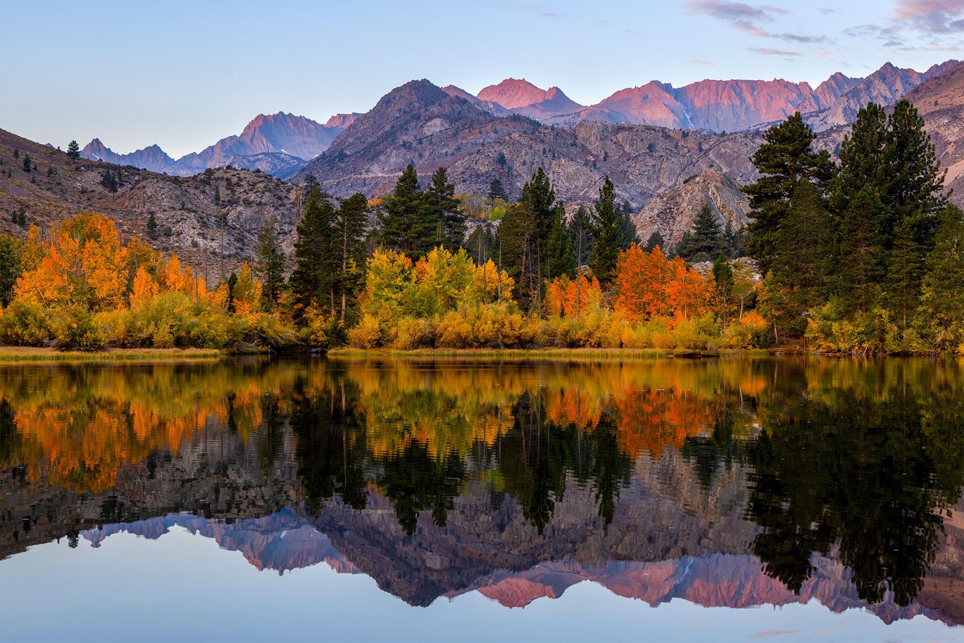 Autumn Reflected by Lacey Horner