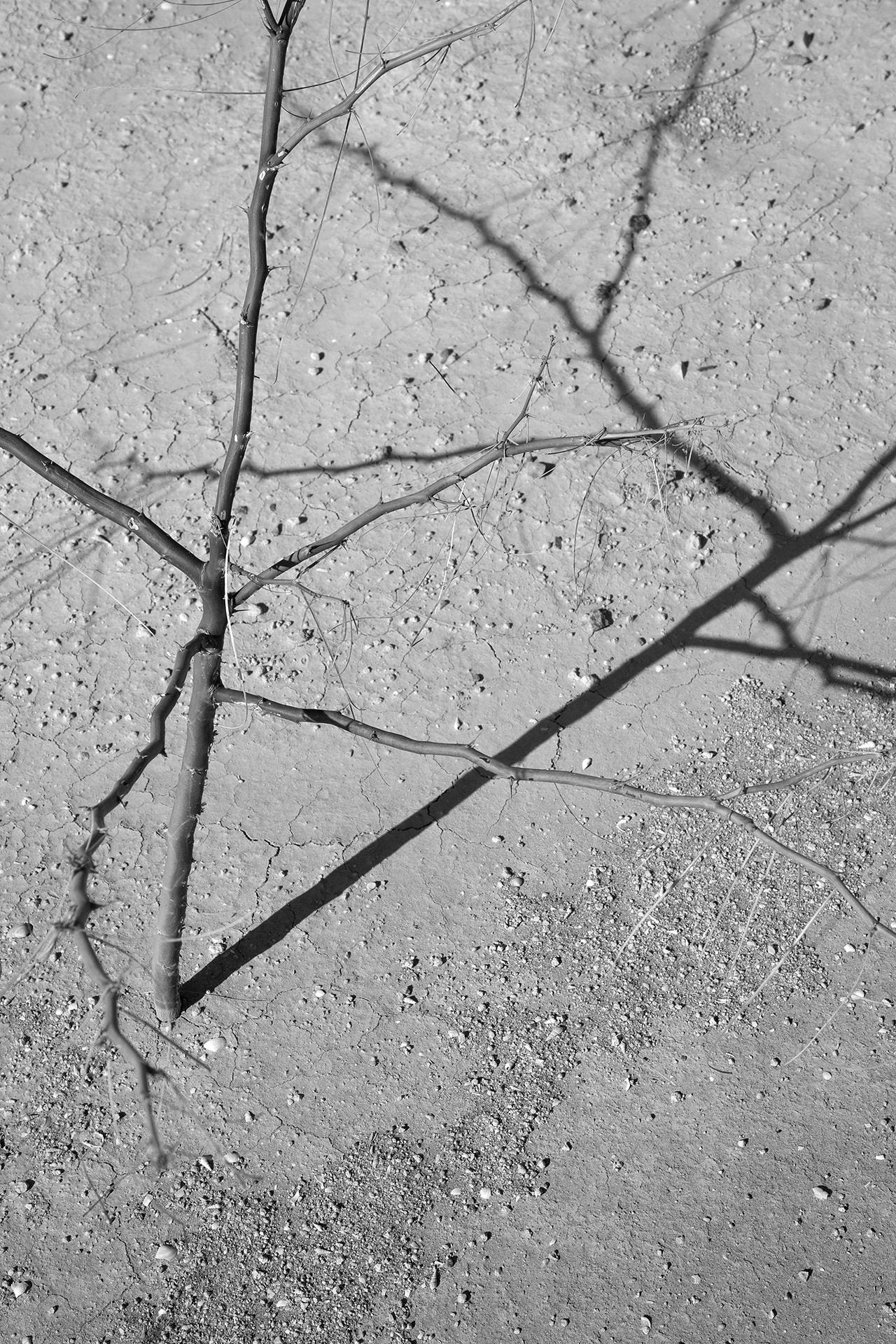 Intersection by Don Fike