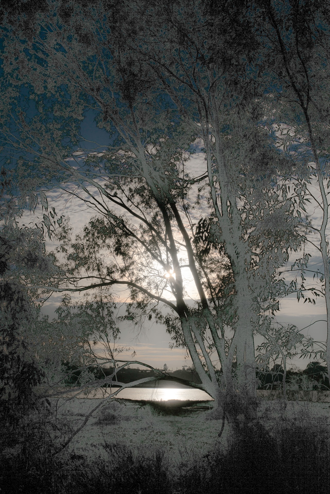 Lagoon by Robert Pendleton
