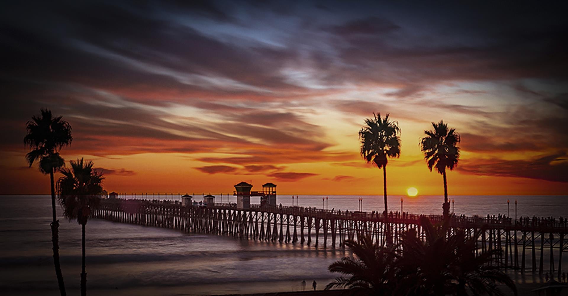 Nature's Show by Carmen Saunders