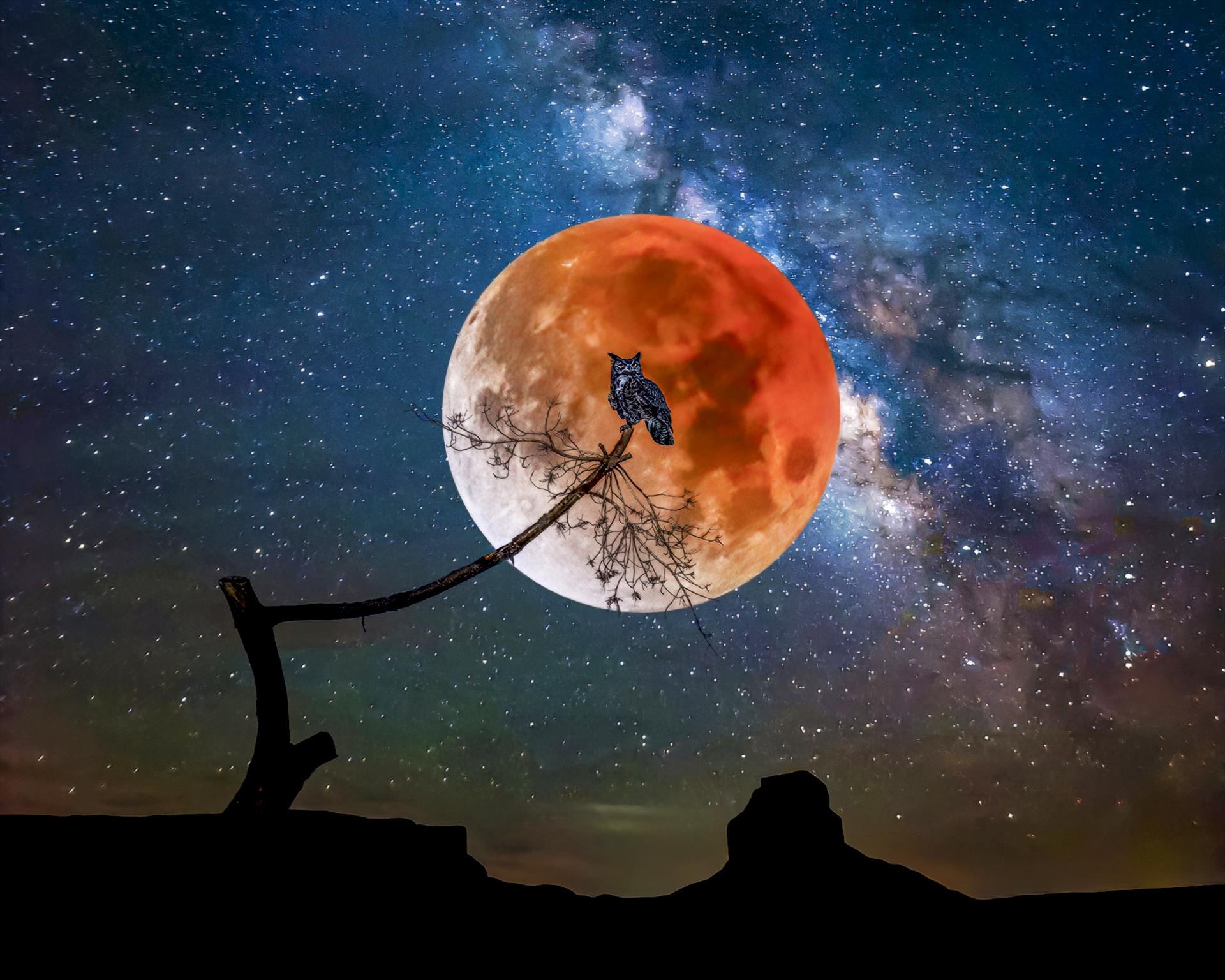 Red Moon Owlchemy by Susan Coppock