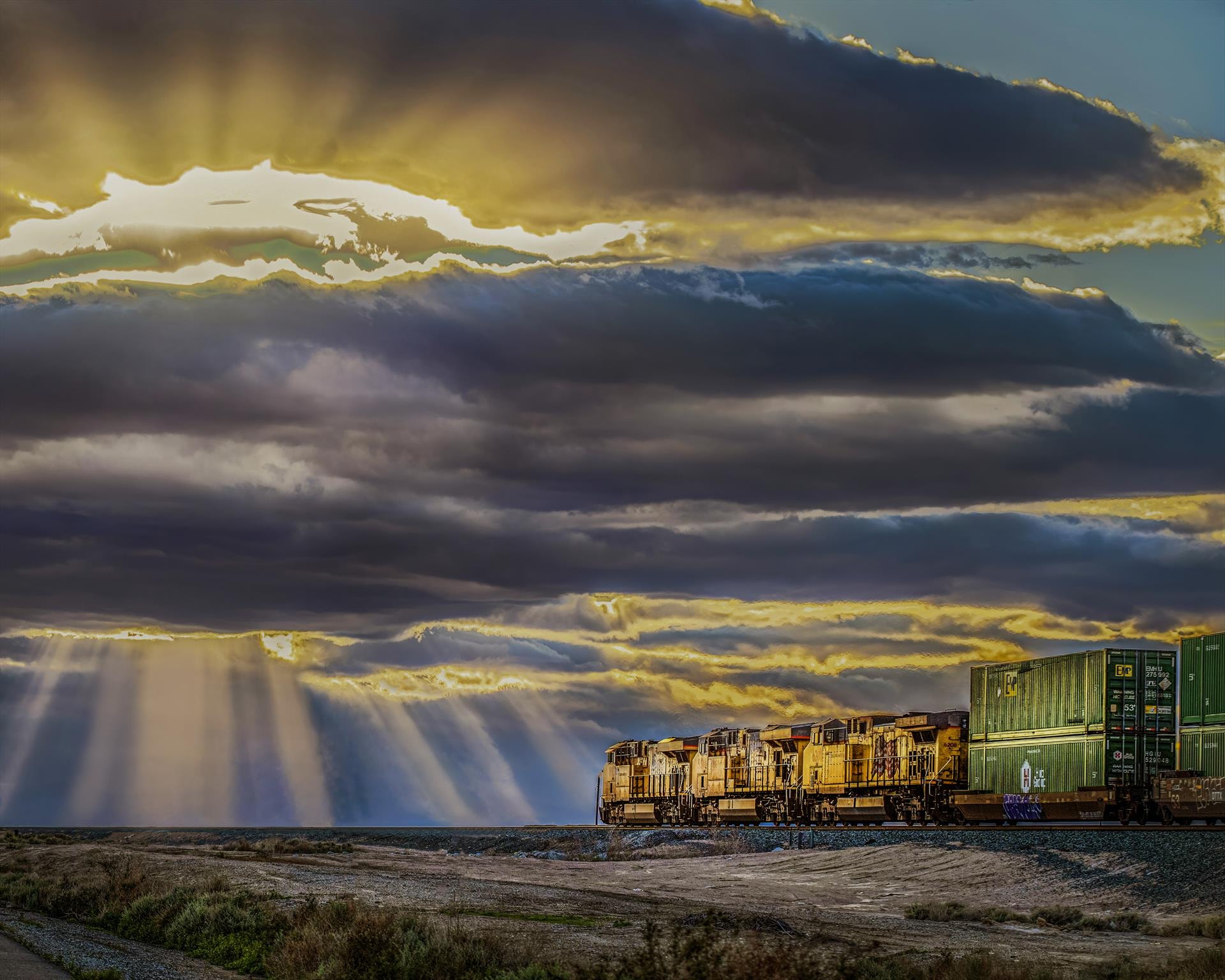 Rolling into Rapture by Susan Coppock