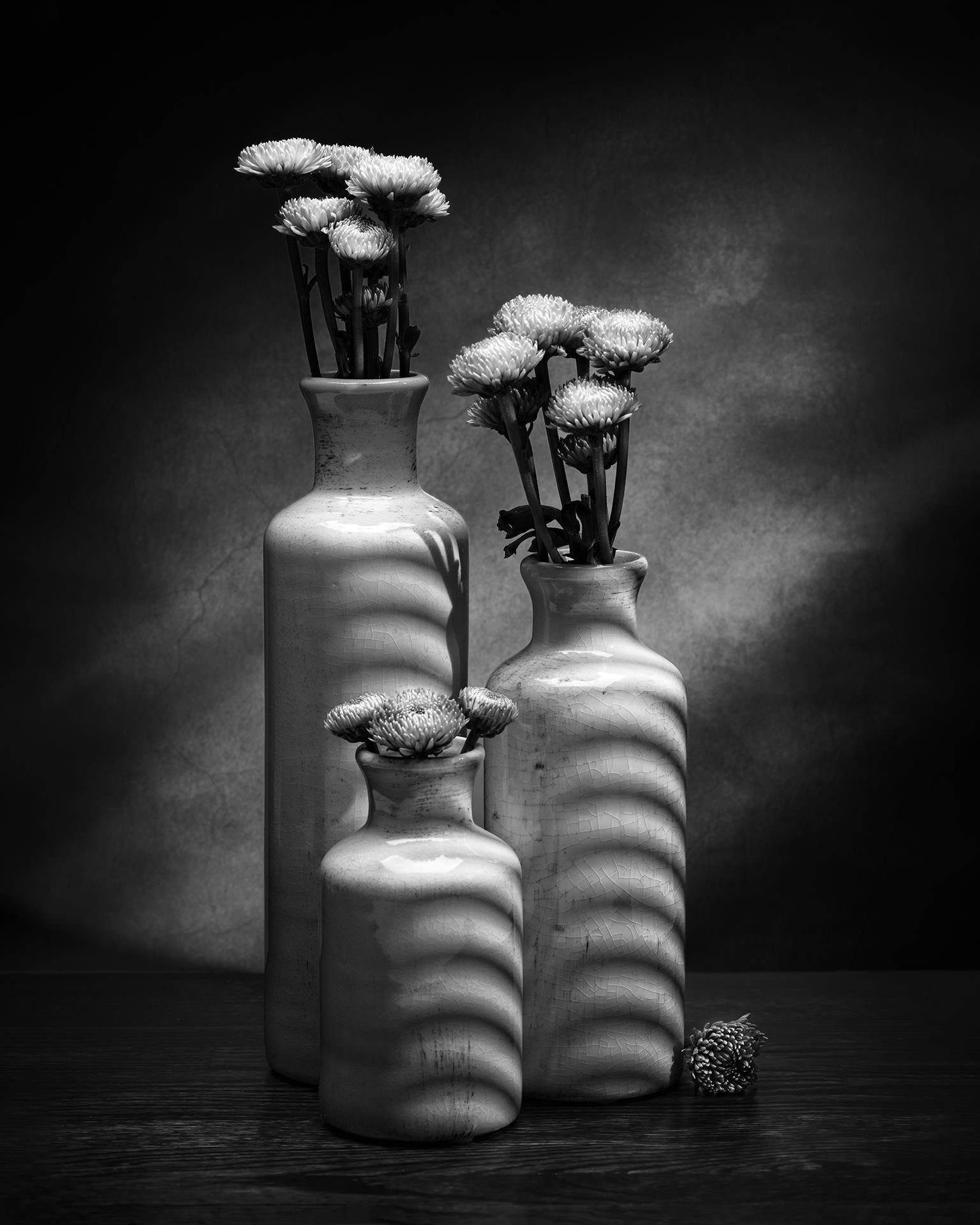 Textture and Shadows by James Woodward