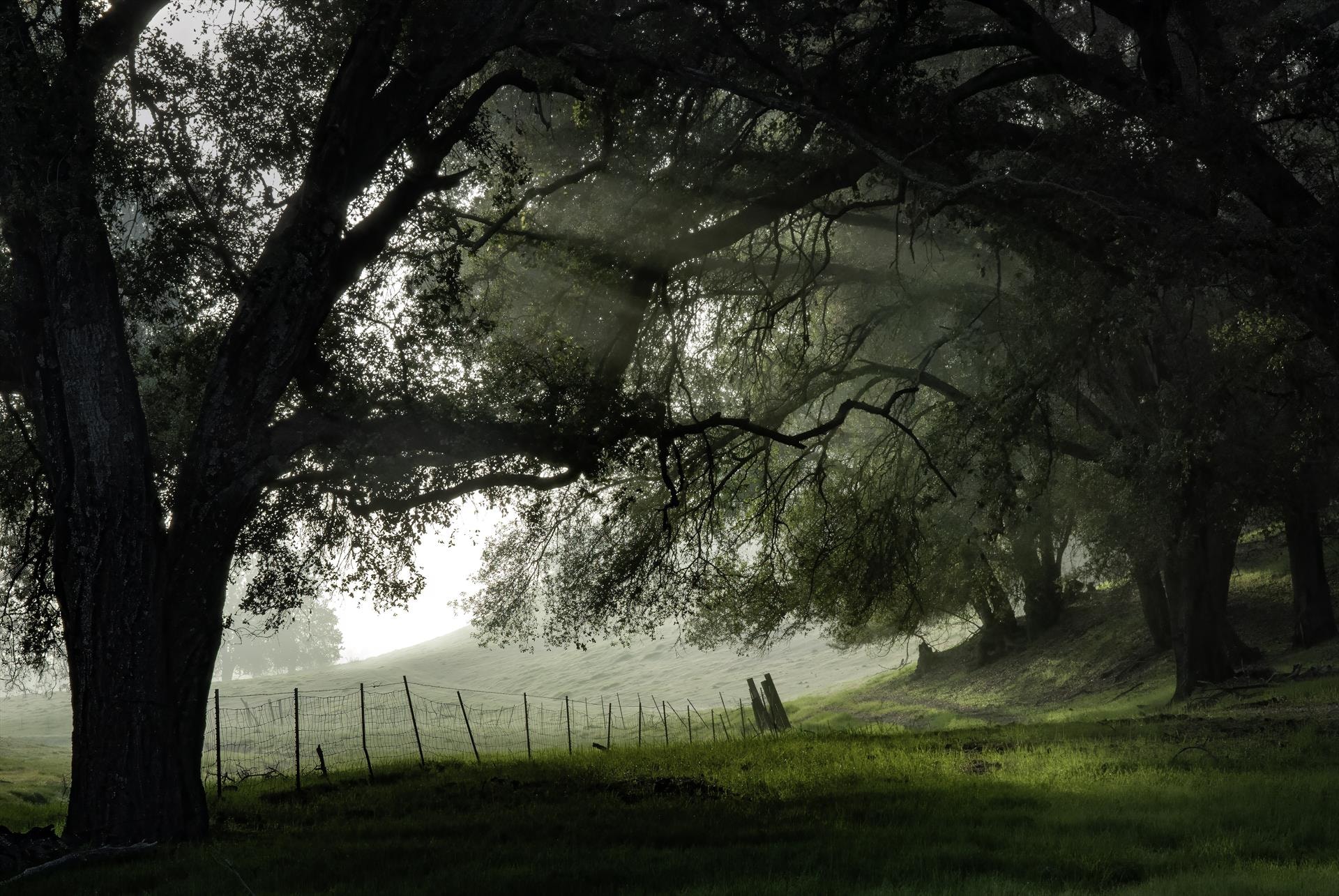 What Lies Beyond by Kimberly Beck Rubio