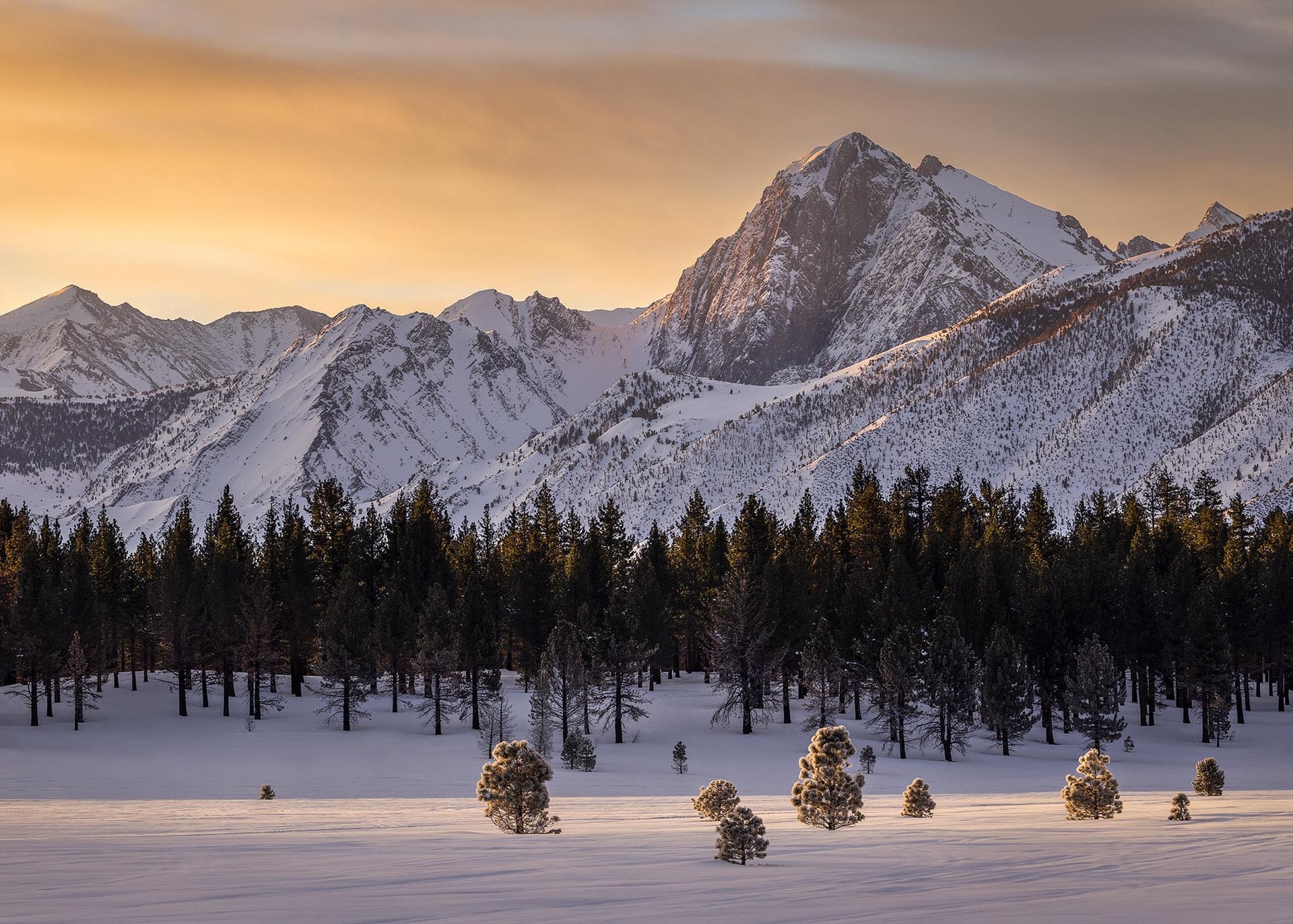 Winter Ridge by Lacey Horner