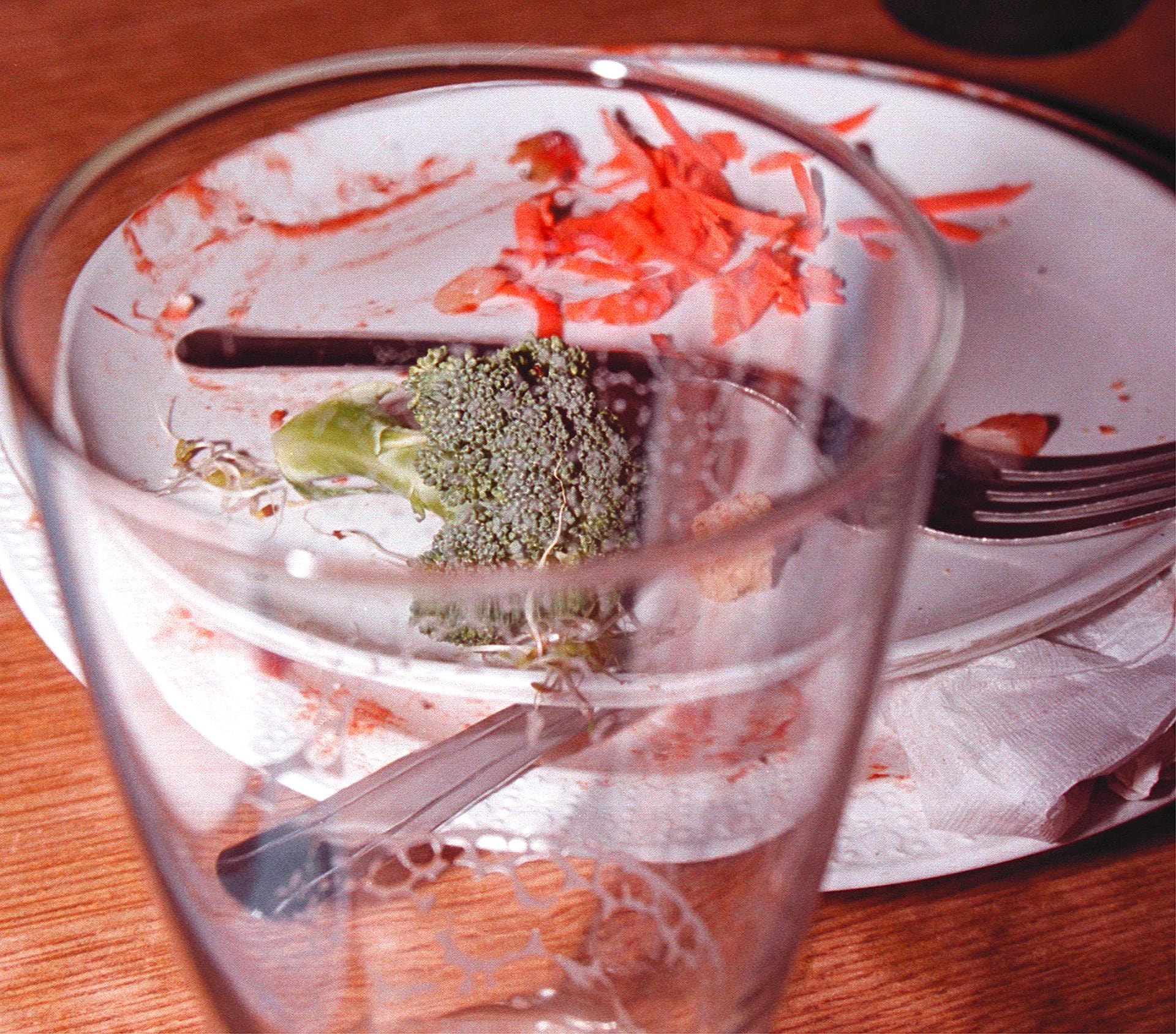 Broccoli by Don Fike