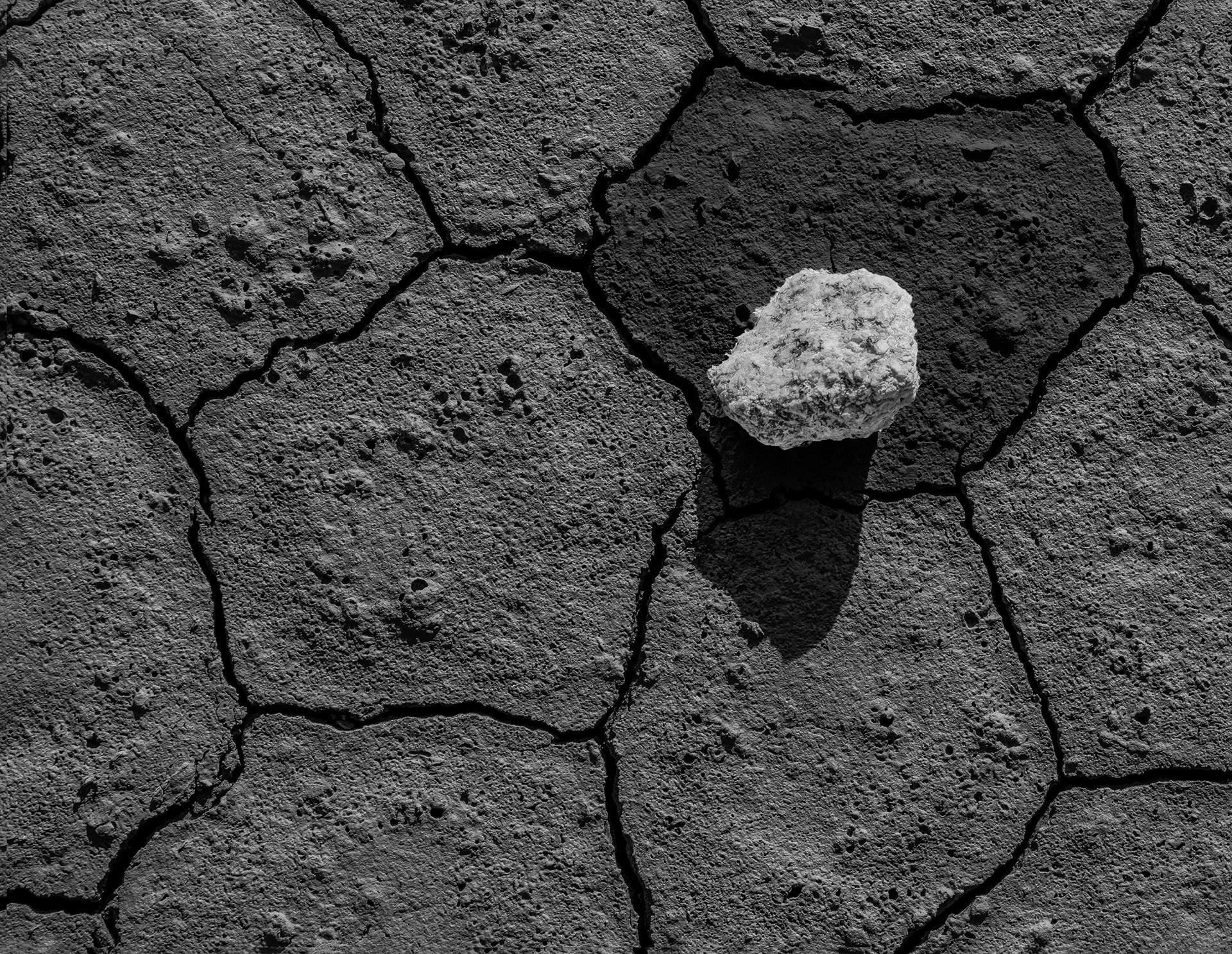 Lonely Stone at Racetrack by Stephen M. Burns
