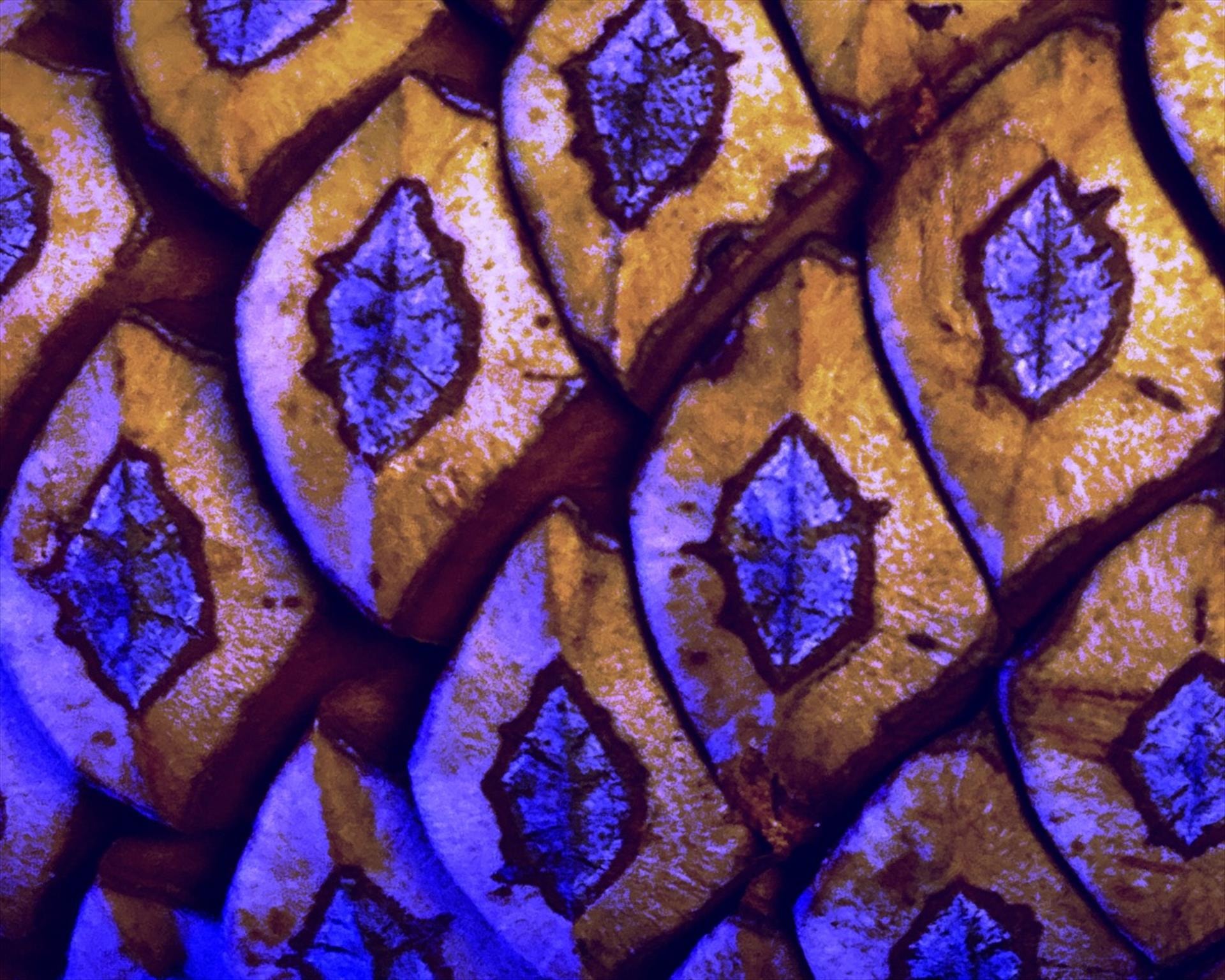 Pinecone Patterns by Cherrie Anderson