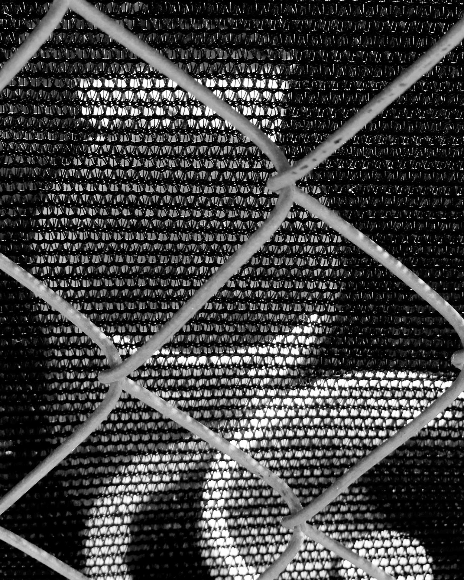Urban Still Life by Gwen Small