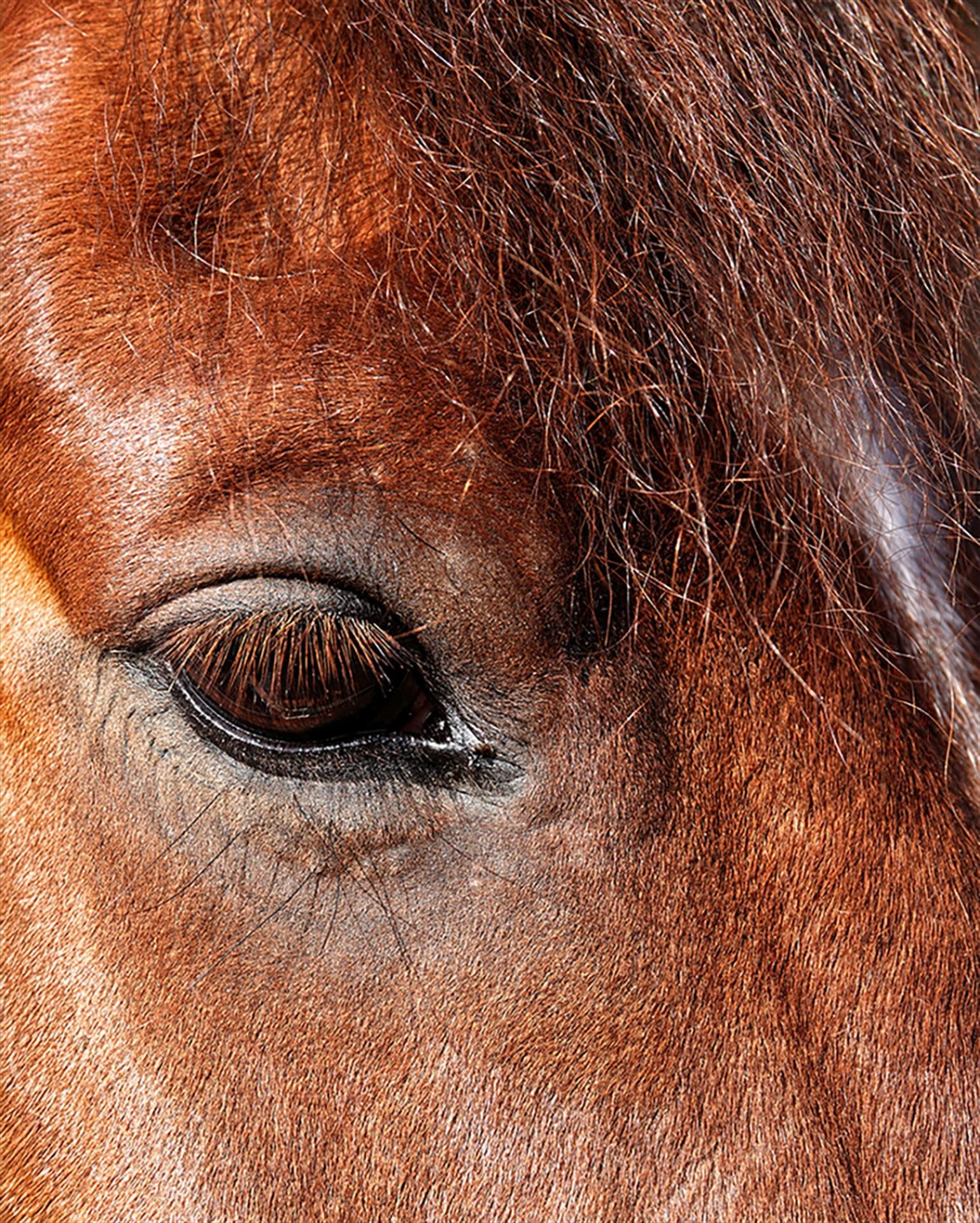 Window to the Soul by Ruth Kurisu