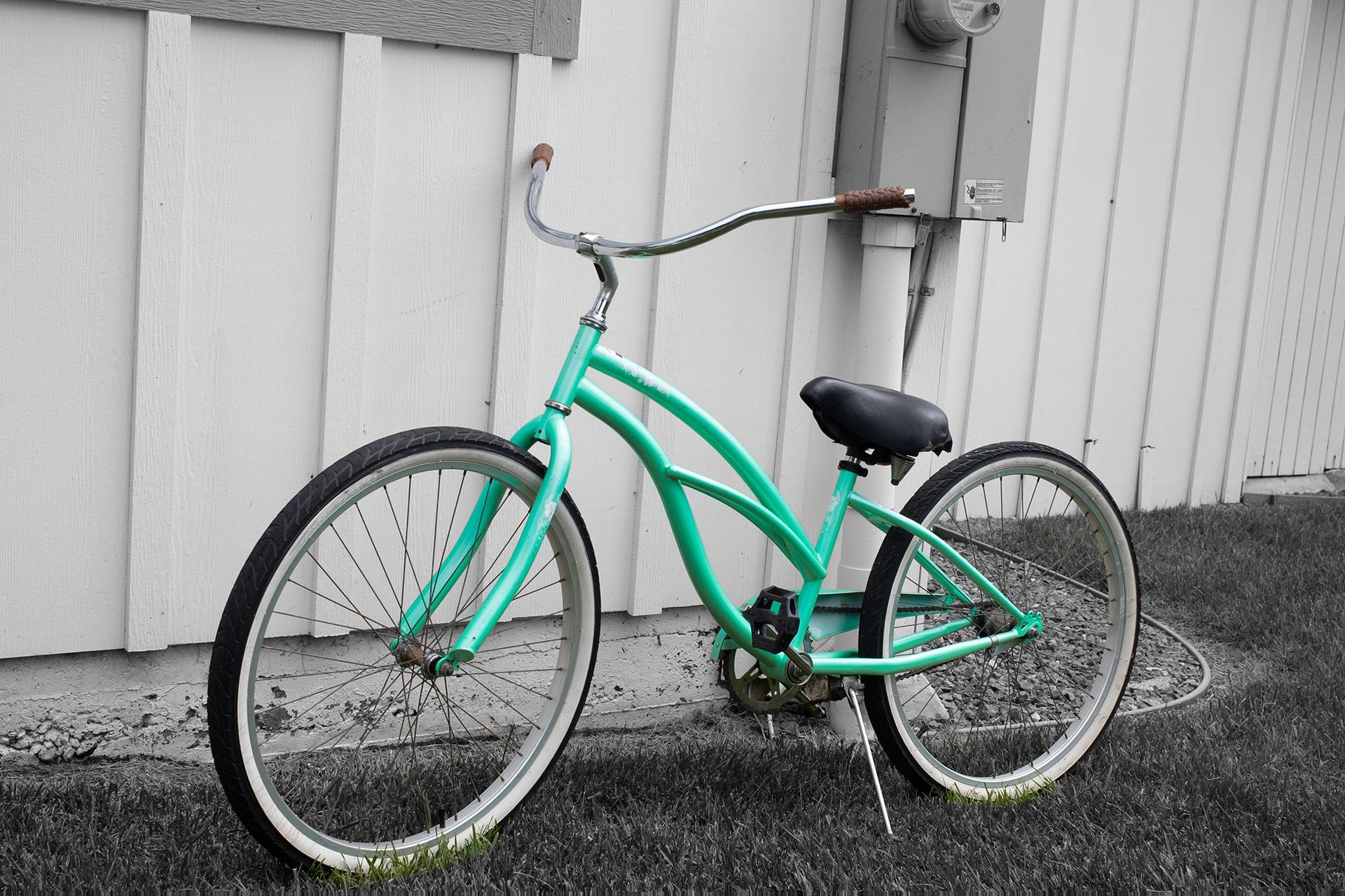 A Bicycle Color by Catherine Carroll