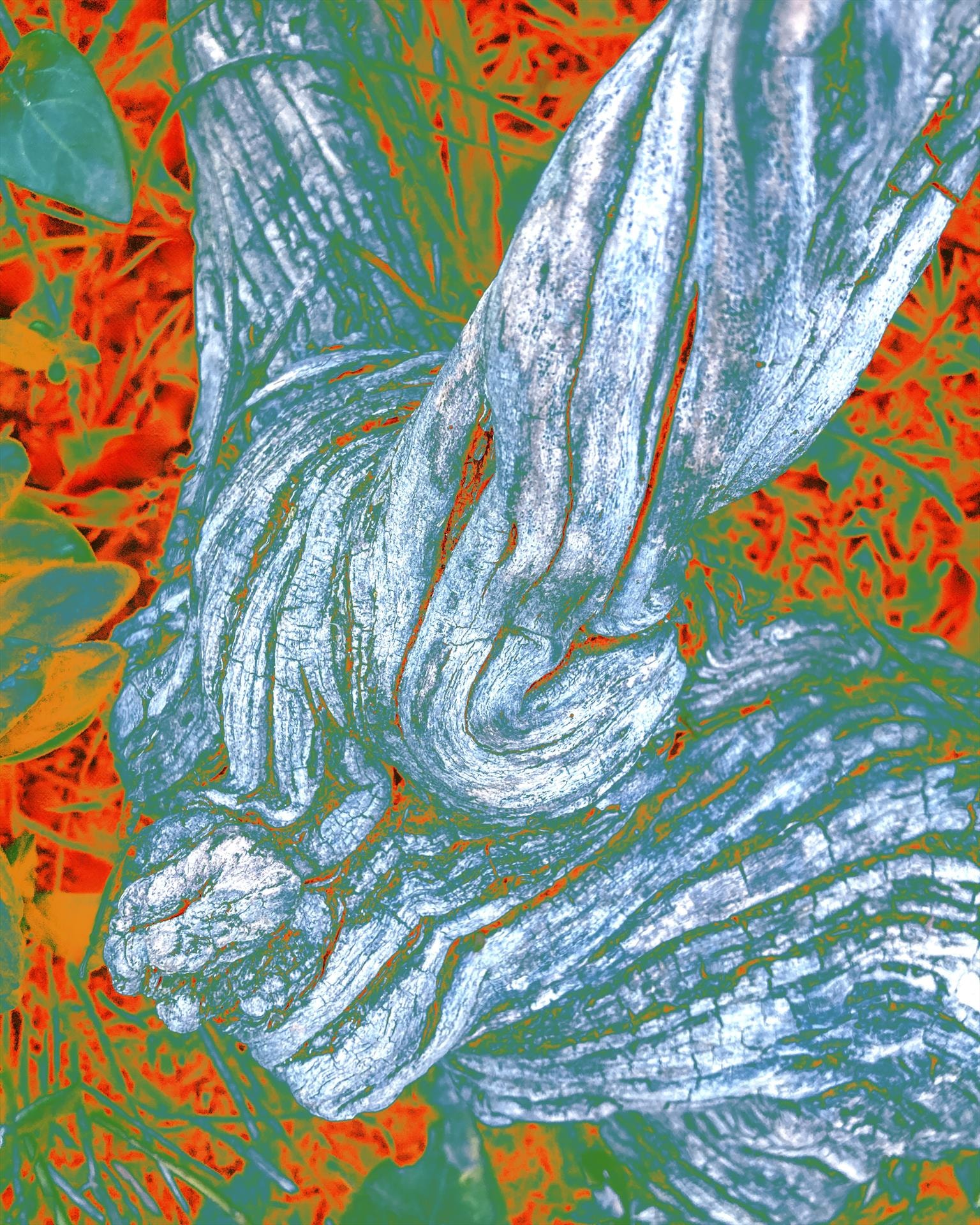 A Hare There by Cherrie Anderson