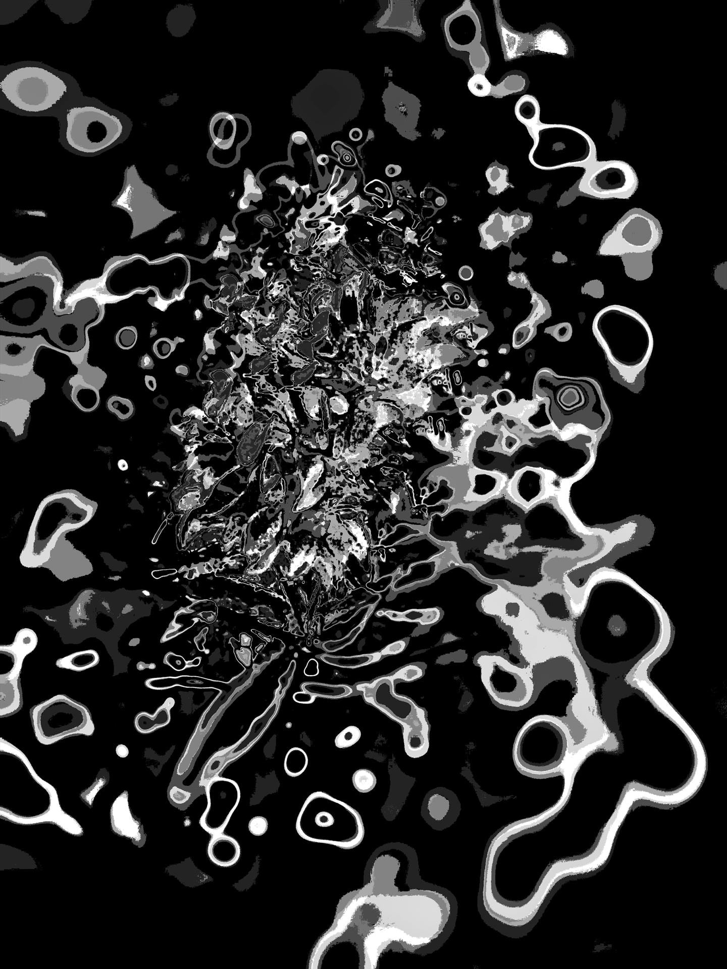 Cellular Transformation by Cheryl Price