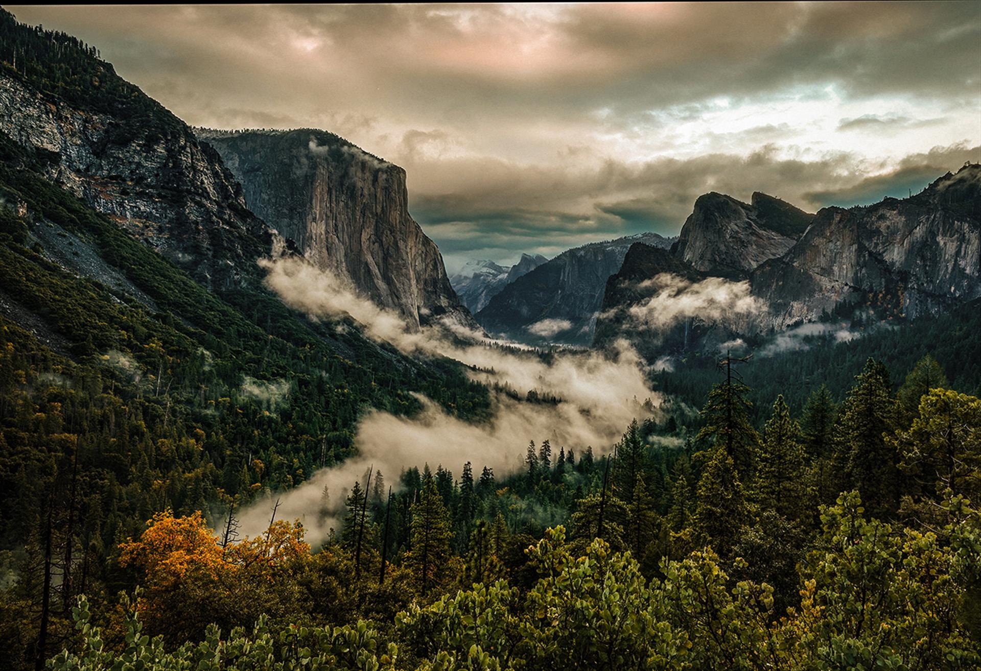 Inspiration Point by Carmen Saunders