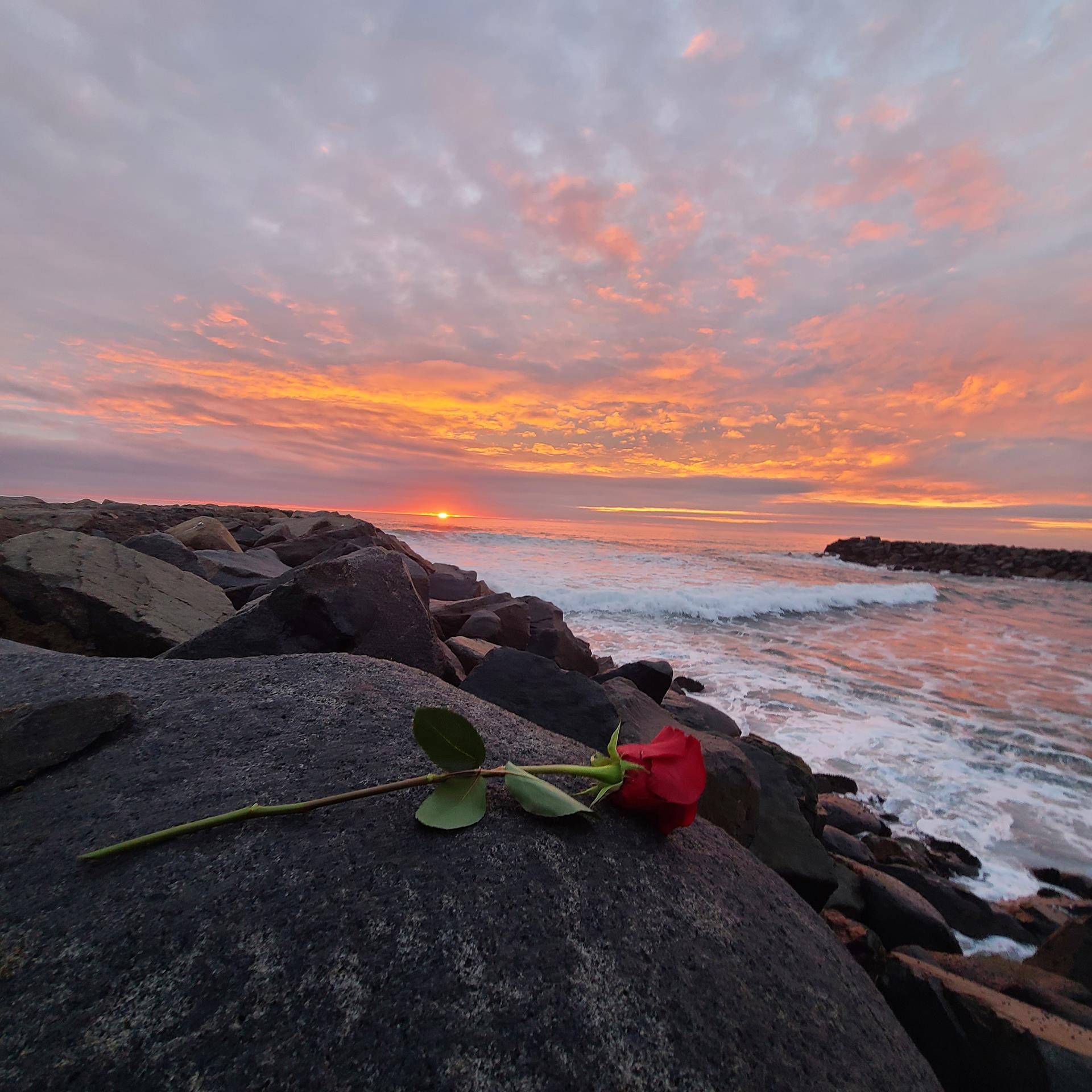 Memories at Sunset by Catherine Carroll