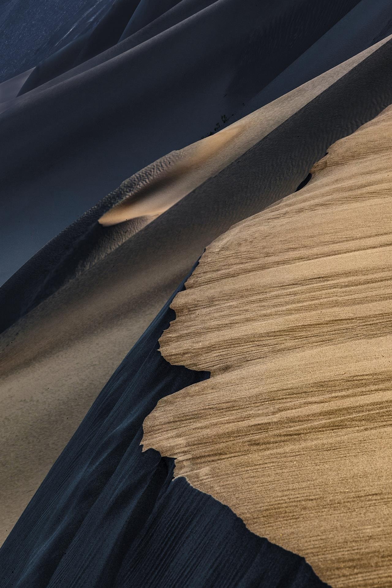 Morning Dunes by Stephen M. Burns