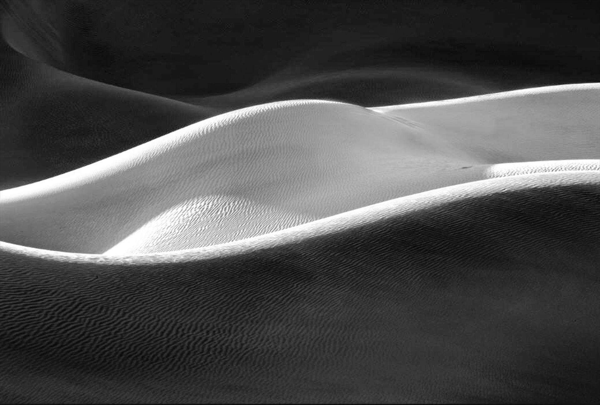 Sensual Light by Stephen M. Burns