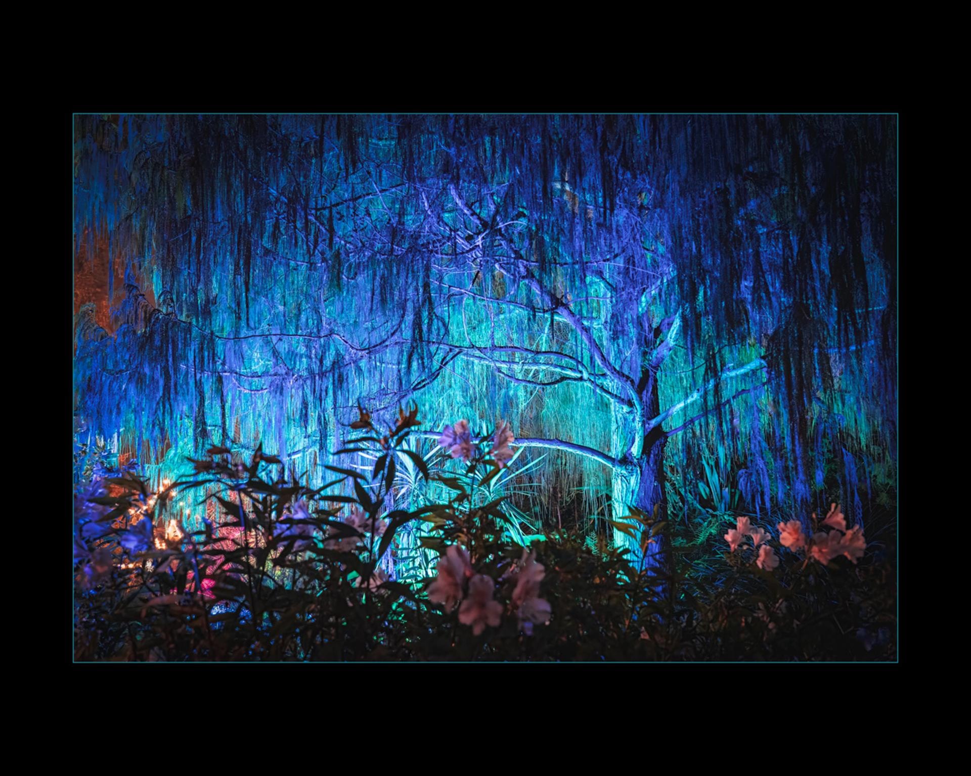 Botanical Gardens by Kurt Lightfoot