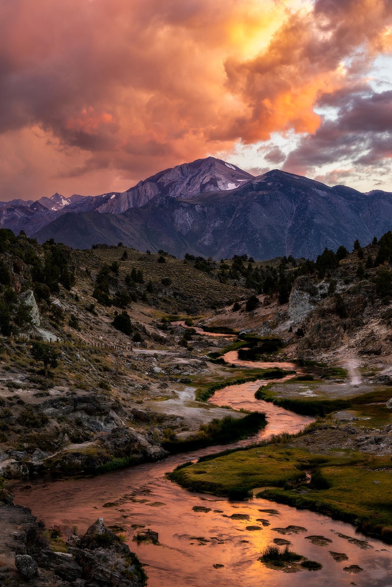 Hot Creek by Lacey Horner