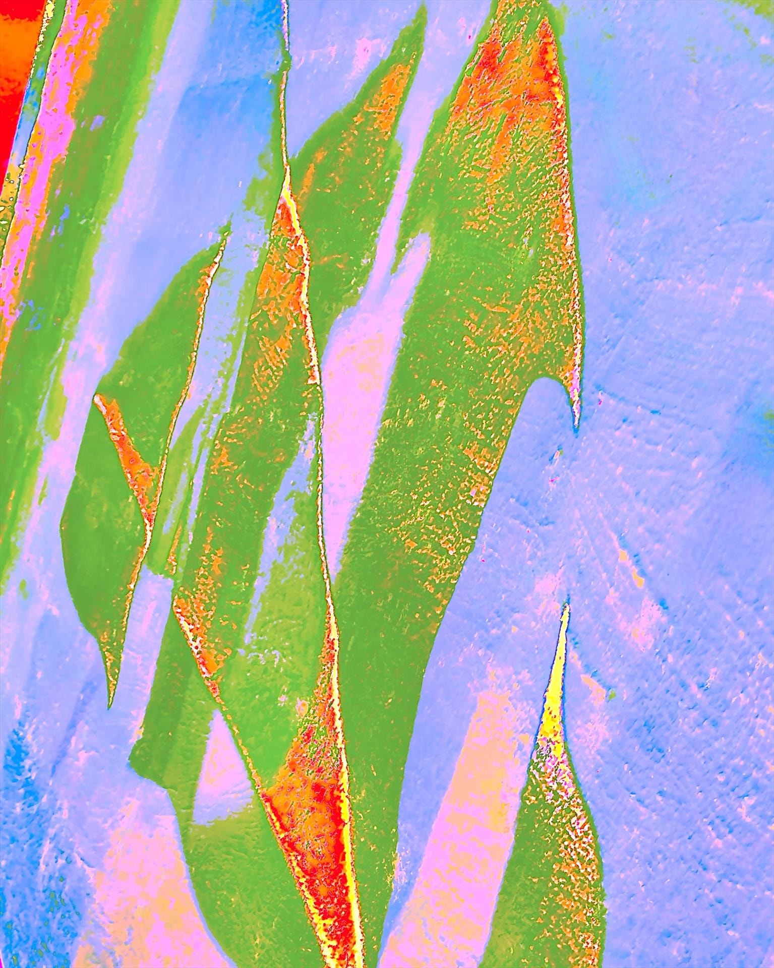 Joy in Color 1 by Cherrie Anderson