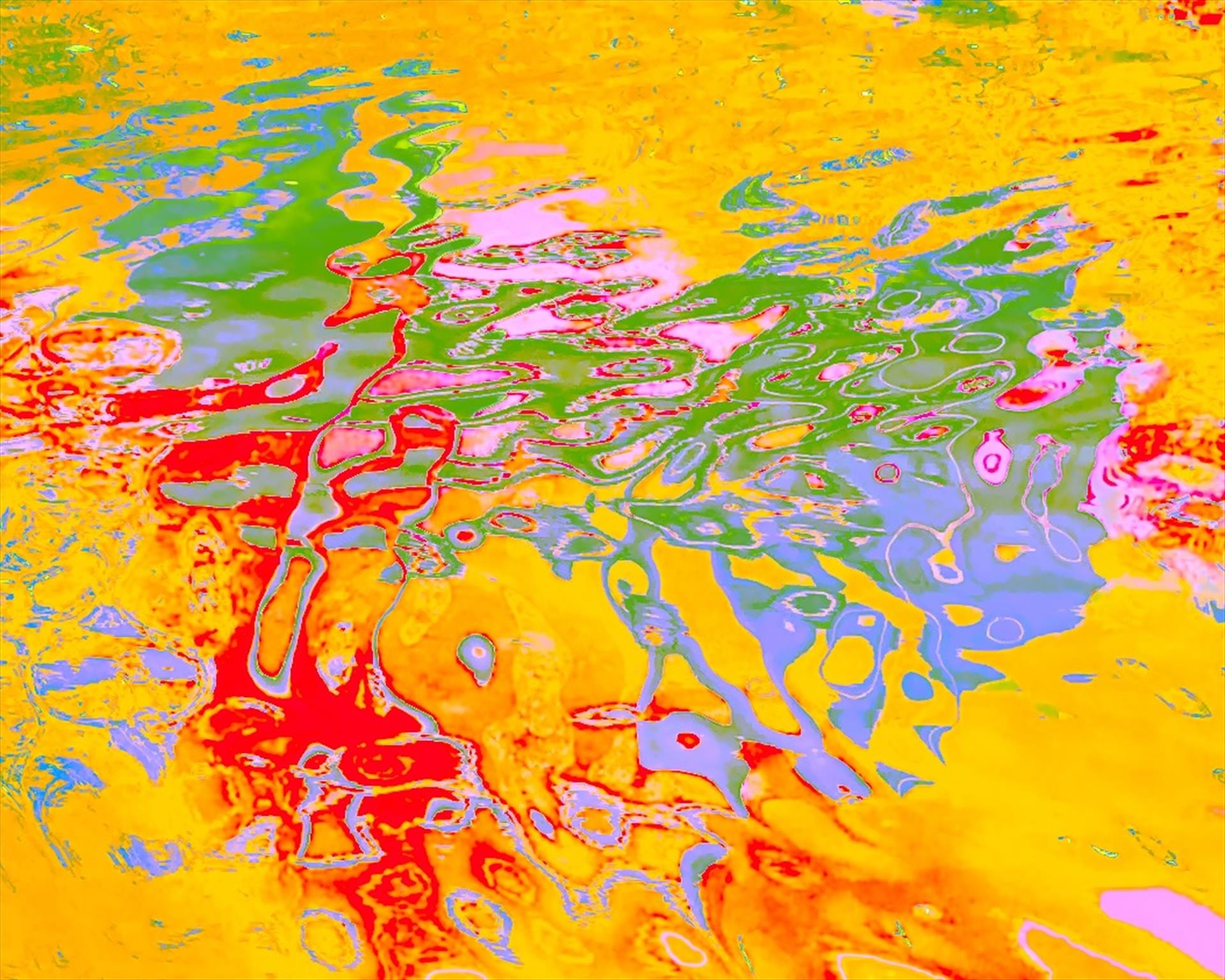 Joy in Color 2 by Cherrie Anderson
