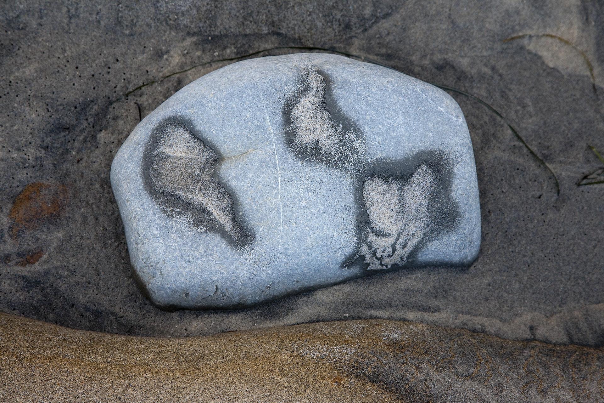 Sand, Rock and Moisture by Don Fike