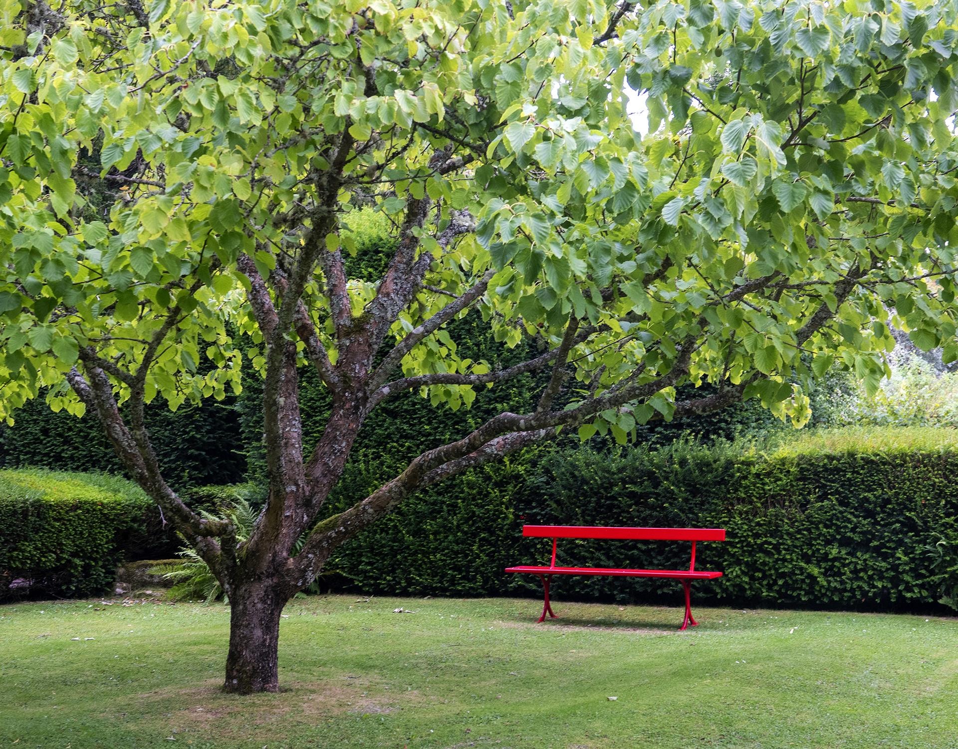 The Red Bench by Ruth Kurisu